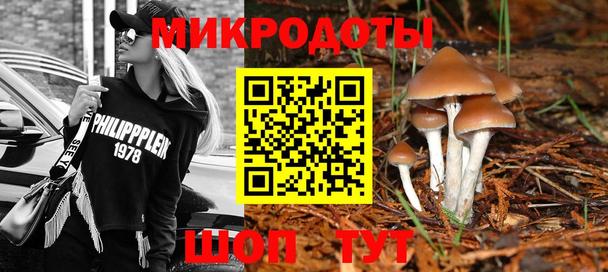 Псилоцибиновые грибы Psilocybine cubensis Александров