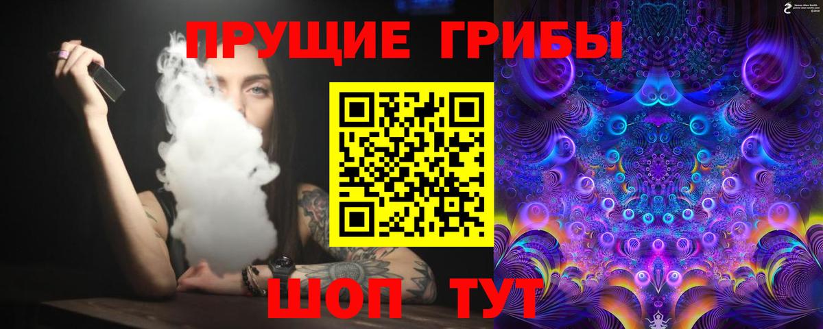 Псилоцибиновые грибы мицелий  Вход с VPN  Александров  где можно купить   Псилоцибиновые грибы GOLDEN TEACHER 